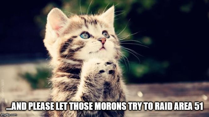 They can't get you all!! | ...AND PLEASE LET THOSE MORONS TRY TO RAID AREA 51 | image tagged in praying cat,funny memes,area 51,stupid people,politics lol,aliens | made w/ Imgflip meme maker