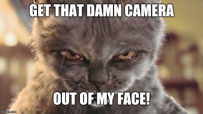Evil Cat | GET THAT DAMN CAMERA OUT OF MY FACE! | image tagged in evil cat | made w/ Imgflip meme maker