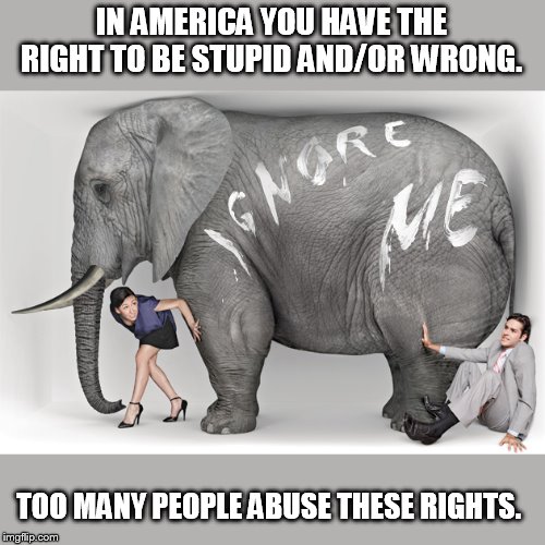 Basic Rights | IN AMERICA YOU HAVE THE RIGHT TO BE STUPID AND/OR WRONG. TOO MANY PEOPLE ABUSE THESE RIGHTS. | image tagged in elephant in the room | made w/ Imgflip meme maker