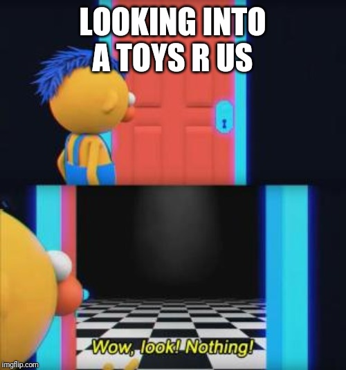 Wow, look nothing | LOOKING INTO A TOYS R US | image tagged in wow look nothing | made w/ Imgflip meme maker