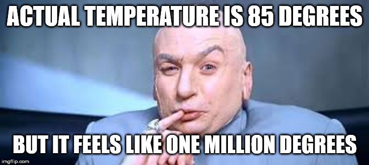 Dr Evil One Million | ACTUAL TEMPERATURE IS 85 DEGREES; BUT IT FEELS LIKE ONE MILLION DEGREES | image tagged in dr evil one million | made w/ Imgflip meme maker