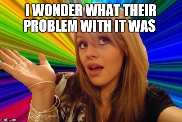 Dumb Blonde Meme | I WONDER WHAT THEIR PROBLEM WITH IT WAS | image tagged in memes,dumb blonde | made w/ Imgflip meme maker