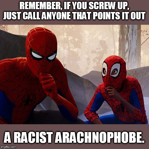 Teaching regressivism. | REMEMBER, IF YOU SCREW UP, JUST CALL ANYONE THAT POINTS IT OUT; A RACIST ARACHNOPHOBE. | image tagged in learning from spiderman | made w/ Imgflip meme maker