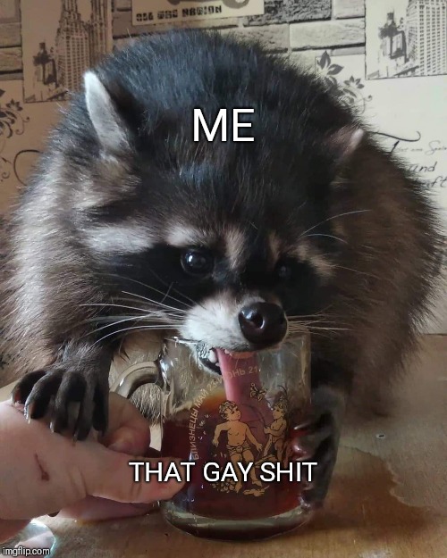ME; THAT GAY SHIT | image tagged in gay,raccoon,lgbtq,cute,funny animals | made w/ Imgflip meme maker