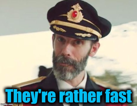 Captain Obvious | They're rather fast | image tagged in captain obvious | made w/ Imgflip meme maker