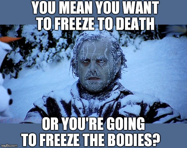 Freezing cold | YOU MEAN YOU WANT TO FREEZE TO DEATH OR YOU'RE GOING TO FREEZE THE BODIES? | image tagged in freezing cold | made w/ Imgflip meme maker