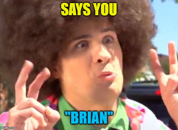 Sarcastic Anthony Meme | SAYS YOU "BRIAN" | image tagged in memes,sarcastic anthony | made w/ Imgflip meme maker