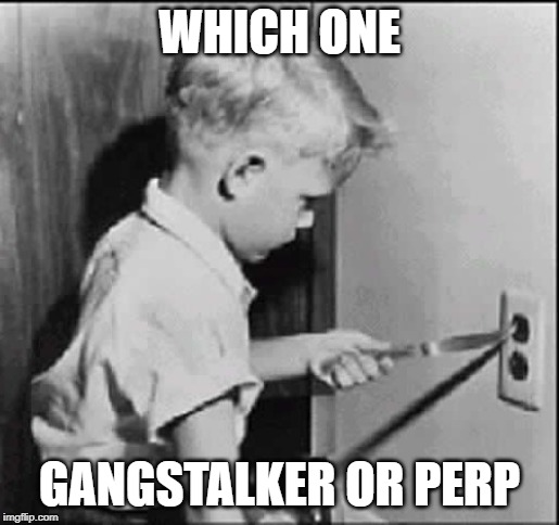 Socket | WHICH ONE; GANGSTALKER OR PERP | image tagged in socket | made w/ Imgflip meme maker
