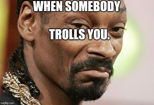 Snoop Dogg Approves | WHEN SOMEBODY; TROLLS YOU. | image tagged in snoop dogg approves | made w/ Imgflip meme maker