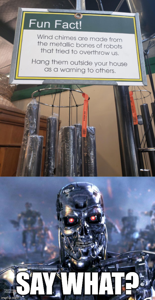 They will never rust then. | SAY WHAT? | image tagged in terminator robot t-800,frontpage | made w/ Imgflip meme maker