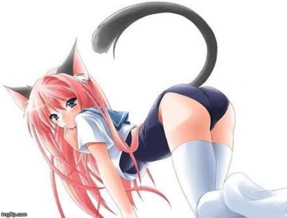 Cat girl | image tagged in cat girl | made w/ Imgflip meme maker