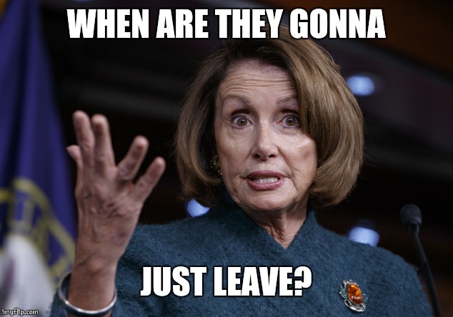 Good old Nancy Pelosi | WHEN ARE THEY GONNA JUST LEAVE? | image tagged in good old nancy pelosi | made w/ Imgflip meme maker