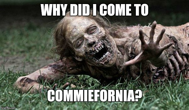 Walking Dead Zombie | WHY DID I COME TO COMMIEFORNIA? | image tagged in walking dead zombie | made w/ Imgflip meme maker