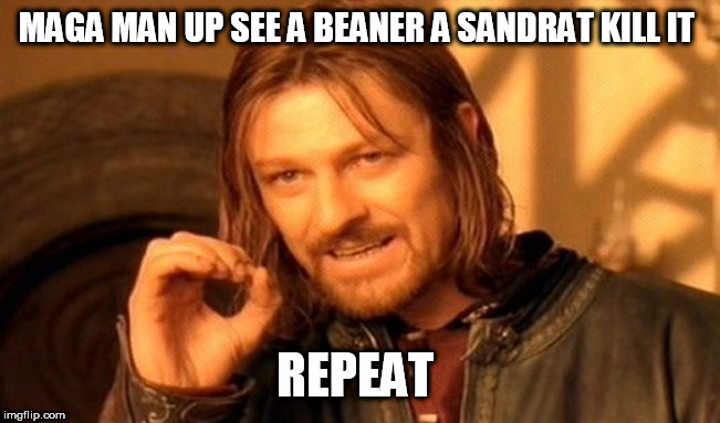 One Does Not Simply Meme | MAGA MAN UP SEE A BEANER A SANDRAT KILL IT; REPEAT | image tagged in memes,one does not simply | made w/ Imgflip meme maker