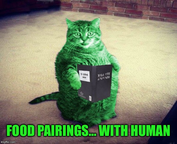 Best RayCat Meme Eva | FOOD PAIRINGS... WITH HUMAN | image tagged in best raycat meme eva | made w/ Imgflip meme maker