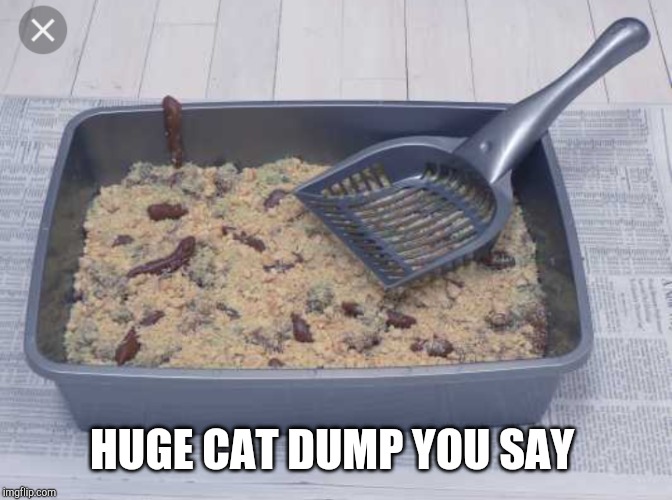 HUGE CAT DUMP YOU SAY | made w/ Imgflip meme maker