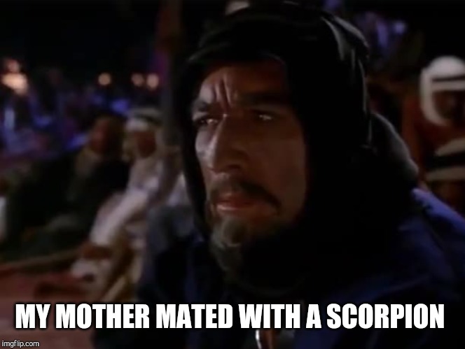 MY MOTHER MATED WITH A SCORPION | made w/ Imgflip meme maker