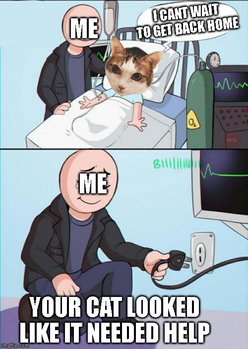 I CANT WAIT TO GET BACK HOME ME ME YOUR CAT LOOKED LIKE IT NEEDED HELP | image tagged in pull the plug 1 | made w/ Imgflip meme maker