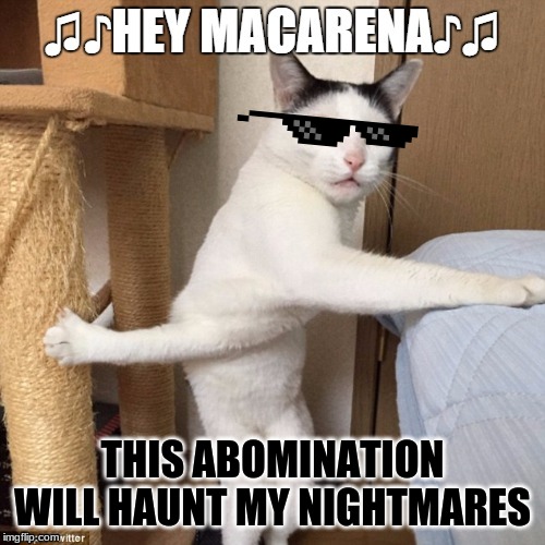 Nightmare cat | THIS ABOMINATION WILL HAUNT MY NIGHTMARES | image tagged in nightmare cat,macarena | made w/ Imgflip meme maker