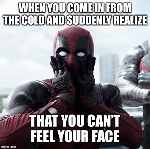 Deadpool Surprised | WHEN YOU COME IN FROM THE COLD AND SUDDENLY REALIZE; THAT YOU CAN’T FEEL YOUR FACE | image tagged in memes,deadpool surprised | made w/ Imgflip meme maker