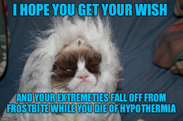 Cold grumpy cat  | I HOPE YOU GET YOUR WISH AND YOUR EXTREMETIES FALL OFF FROM FROSTBITE WHILE YOU DIE OF HYPOTHERMIA | image tagged in cold grumpy cat | made w/ Imgflip meme maker