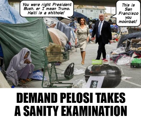 Demand Pelosi Takes a Sanity Examination | DEMAND PELOSI TAKES A SANITY EXAMINATION | image tagged in nancy pelosi is crazy,nancy pelosi,liberalism,mental illness,shithole,san francisco | made w/ Imgflip meme maker
