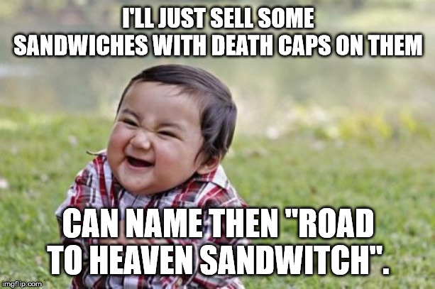 Evil Toddler Meme | I'LL JUST SELL SOME SANDWICHES WITH DEATH CAPS ON THEM CAN NAME THEN "ROAD TO HEAVEN SANDWITCH". | image tagged in memes,evil toddler | made w/ Imgflip meme maker