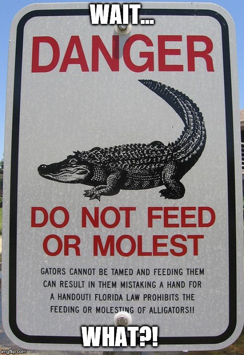 Don't Be Friendly With the Alligators | WAIT... WHAT?! | image tagged in funny,animals,alligators,memes,what,weird stuff | made w/ Imgflip meme maker