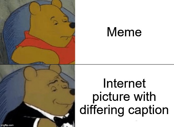 Tuxedo Winnie The Pooh Meme | Meme; Internet picture with differing caption | image tagged in memes,tuxedo winnie the pooh | made w/ Imgflip meme maker