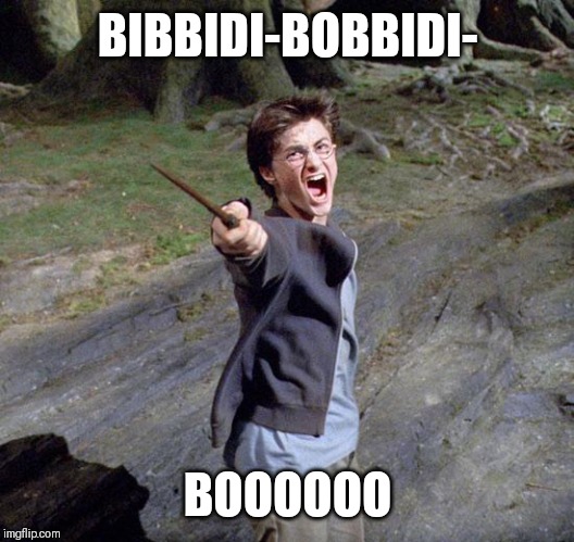 Harry potter | BIBBIDI-BOBBIDI-; BOOOOOO | image tagged in harry potter | made w/ Imgflip meme maker