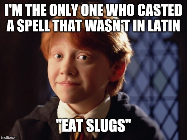 Ron Weasley | I'M THE ONLY ONE WHO CASTED A SPELL THAT WASN'T IN LATIN; "EAT SLUGS" | image tagged in ron weasley | made w/ Imgflip meme maker