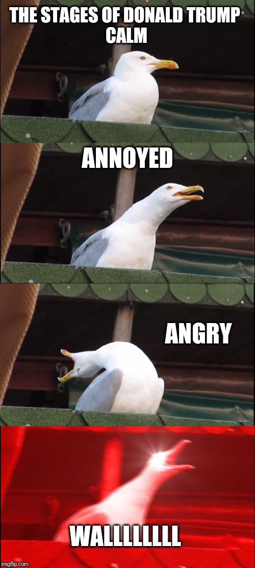 Inhaling Seagull | THE STAGES OF DONALD TRUMP 


CALM; ANNOYED; ANGRY; WALLLLLLLL | image tagged in memes,inhaling seagull | made w/ Imgflip meme maker