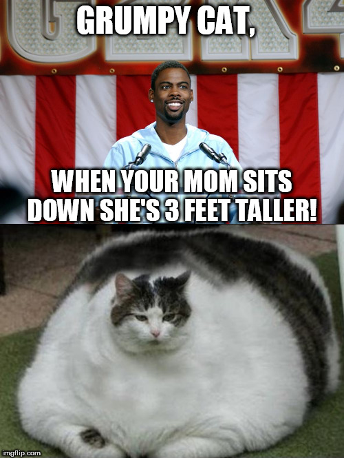 GRUMPY CAT, WHEN YOUR MOM SITS DOWN SHE'S 3 FEET TALLER! | made w/ Imgflip meme maker