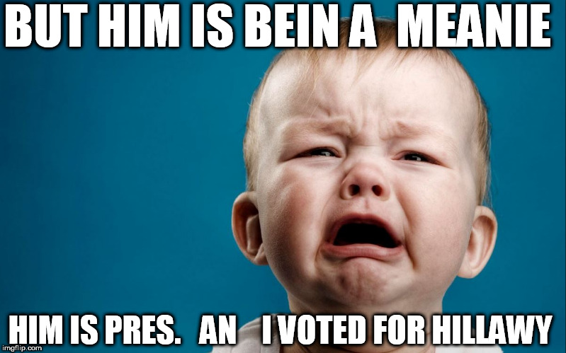 BUT HIM IS BEIN A  MEANIE HIM IS PRES.   AN    I VOTED FOR HILLAWY | made w/ Imgflip meme maker