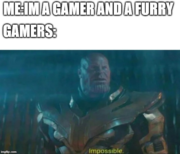 Thanos Impossible | GAMERS:; ME:IM A GAMER AND A FURRY | image tagged in thanos impossible | made w/ Imgflip meme maker