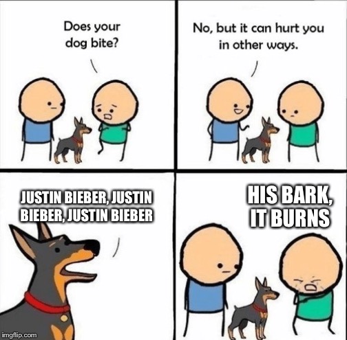 does your dog bite | HIS BARK, IT BURNS; JUSTIN BIEBER, JUSTIN BIEBER, JUSTIN BIEBER | image tagged in does your dog bite | made w/ Imgflip meme maker