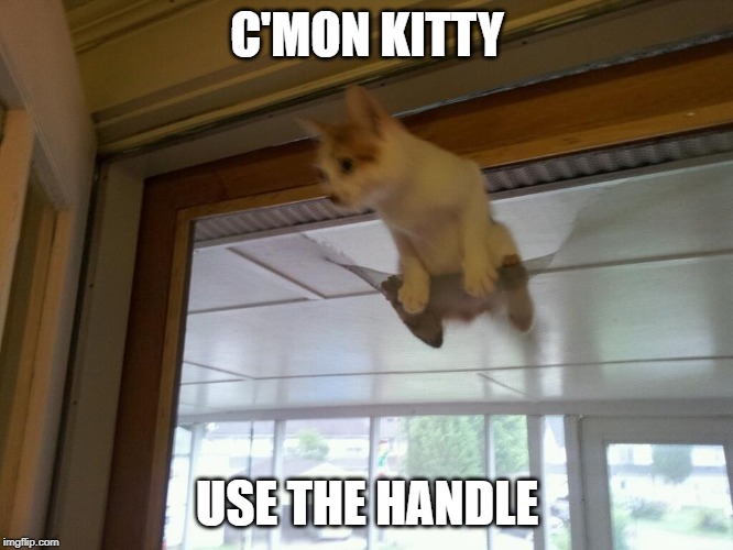 Kitty Door | C'MON KITTY; USE THE HANDLE | image tagged in kitty door,kitten,door,vandalism | made w/ Imgflip meme maker