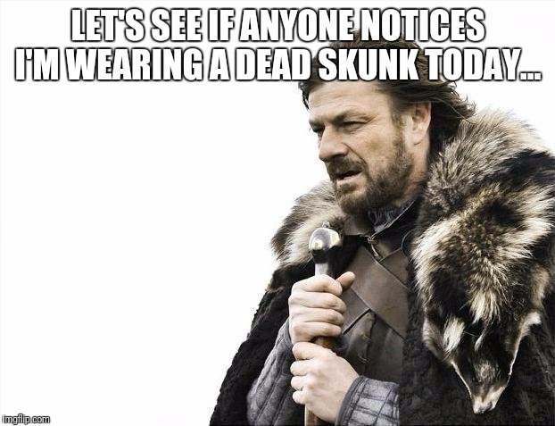 Brace Yourselves... | LET'S SEE IF ANYONE NOTICES I'M WEARING A DEAD SKUNK TODAY... | image tagged in memes,brace yourselves x is coming | made w/ Imgflip meme maker