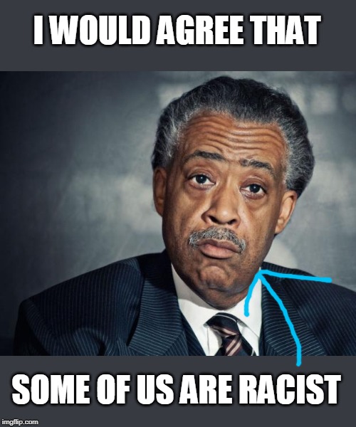 al sharpton racist | I WOULD AGREE THAT SOME OF US ARE RACIST | image tagged in al sharpton racist | made w/ Imgflip meme maker