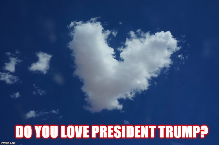 Love Trump | DO YOU LOVE PRESIDENT TRUMP? | image tagged in donald trump,trump,love trump | made w/ Imgflip meme maker