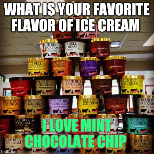 Blue bell ice cream | WHAT IS YOUR FAVORITE FLAVOR OF ICE CREAM; I LOVE MINT CHOCOLATE CHIP | image tagged in blue bell ice cream | made w/ Imgflip meme maker