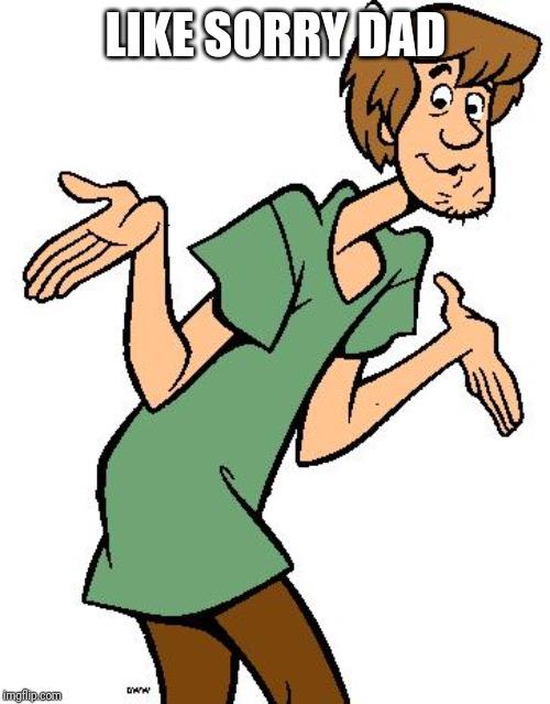 Shaggy from Scooby Doo | LIKE SORRY DAD | image tagged in shaggy from scooby doo | made w/ Imgflip meme maker