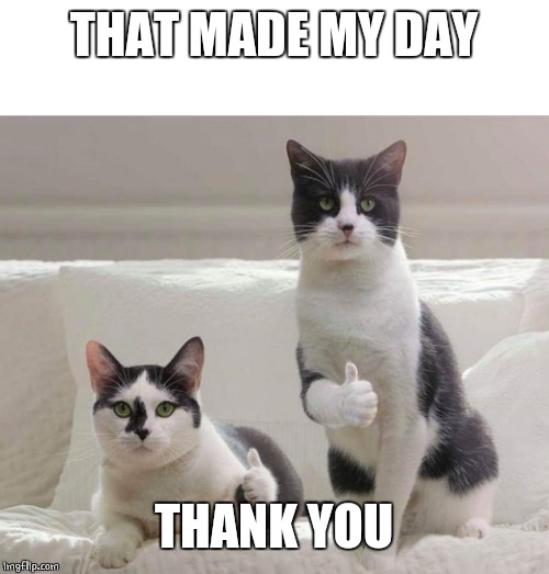 Cat Thumbs Up | THAT MADE MY DAY THANK YOU | image tagged in cat thumbs up | made w/ Imgflip meme maker