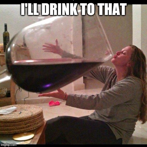 Wine Drinker | I'LL DRINK TO THAT | image tagged in wine drinker | made w/ Imgflip meme maker