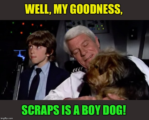 WELL, MY GOODNESS, SCRAPS IS A BOY DOG! | made w/ Imgflip meme maker