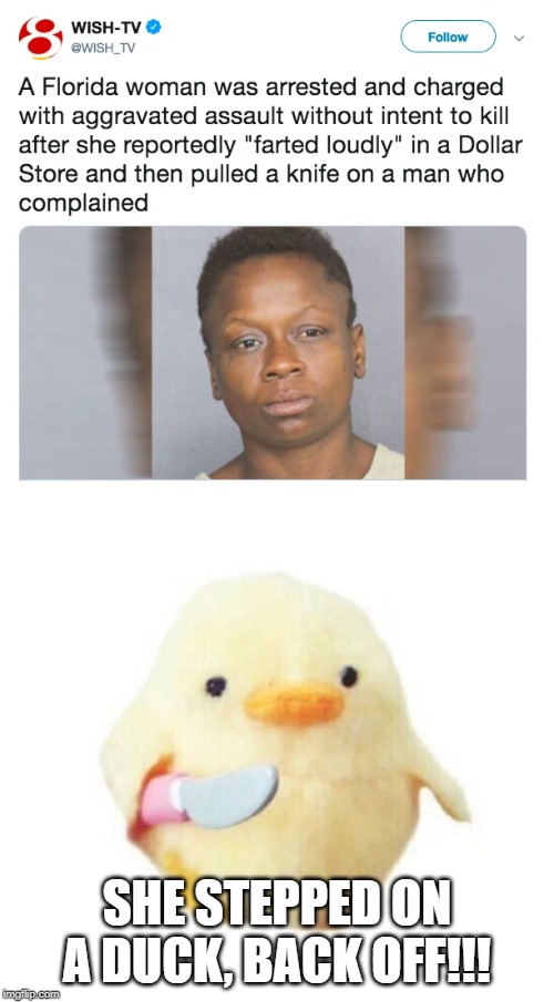 Innocent Quack |  SHE STEPPED ON A DUCK, BACK OFF!!! | image tagged in duck with knife | made w/ Imgflip meme maker