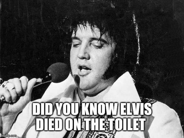 Elvis | DID YOU KNOW ELVIS DIED ON THE TOILET | image tagged in elvis | made w/ Imgflip meme maker