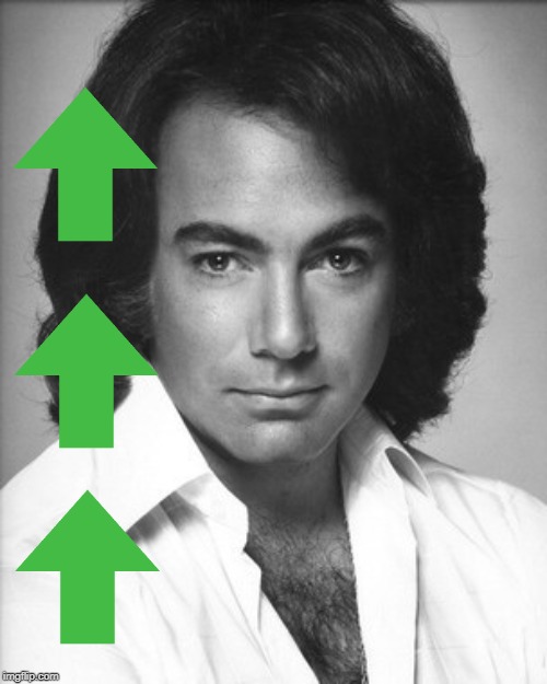 Neil Diamond Approves | image tagged in neil diamond approves | made w/ Imgflip meme maker