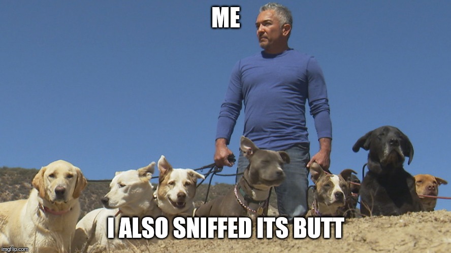 Cesar Millan | ME I ALSO SNIFFED ITS BUTT | image tagged in cesar millan | made w/ Imgflip meme maker