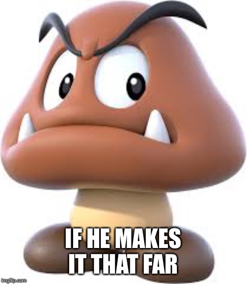 Goomba | IF HE MAKES IT THAT FAR | image tagged in goomba | made w/ Imgflip meme maker